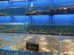 -九月海·海鲜自助(世纪东方店)