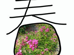 -尚贤河湿地