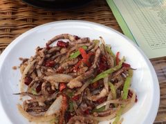-龙达温泉生态城