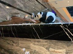 -红辣椒·川菜·火锅(张杨路店)