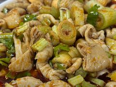 -巷子肥肠(科华巷店)