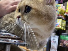 -PETKIT小佩宠物(昭化店)