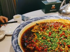 -新概念来凤鱼(璧山店)