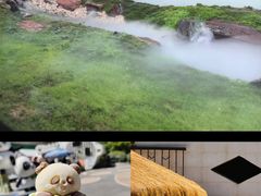 -青藏高原野生动物园