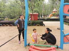 -合肥滨湖国家森林公园