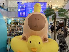 -凯德MALL(西直门店)
