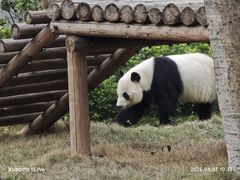 -柳州市动物园