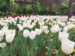 -长春公园(普阳街道)