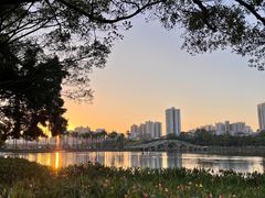 -南宁南湖公园