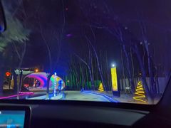 -枫花园汽车电影院(朝阳公园店)