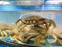 水产区-望海潮海鲜店 特色家常菜(在海一方店)