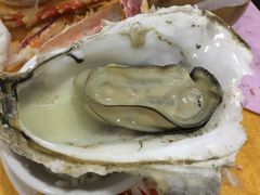 -蚝专家(北滘店)