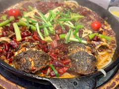 -老板恋上鱼(印象城店)