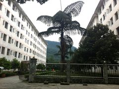 -西南交通大学(峨眉校区)
