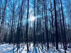 -长白山万达国际滑雪场