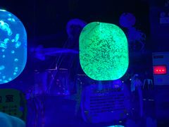 -芜湖新华联大白鲸海洋公园