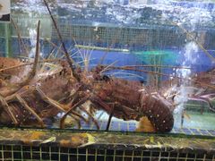 -欢乐海岸美食联盟