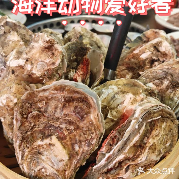 海洋动物爱好者从一口生蚝海螺开始！  