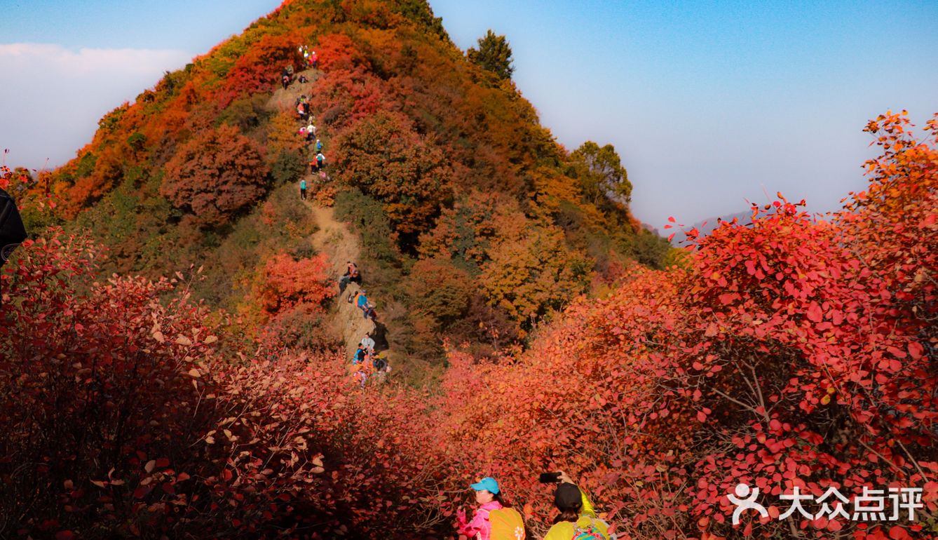 秦岭的枫叶红了,秋天简直太适合爬山了