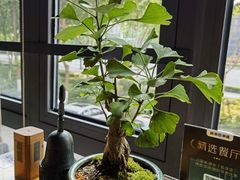 -竹里馆 ·茶食(奥体店)
