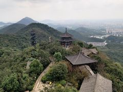 -杭州半山国家森林公园