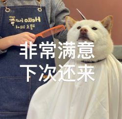 -竹马造型工作室