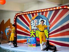 -南昌海洋公园
