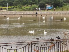 -哈尔滨北方森林动物园