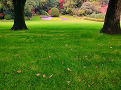 -西郊宾馆·1921餐厅