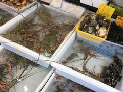 -拉威海鲜市场