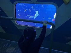 -珠海横琴国家地理探险家中心(创新方)