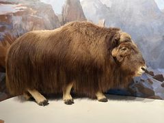 -陕西自然博物馆