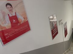 -天鹅到家·保姆月嫂育儿嫂(朝阳店)