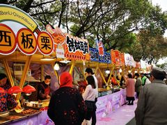 -高东镇樱花园