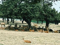 -西安秦岭野生动物园