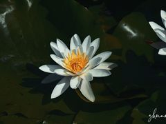 -前关湿地公园