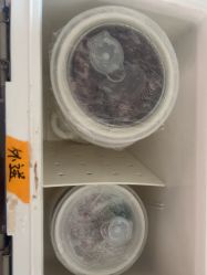 -生命加•Q考拉月子会所(玫瑰园店)