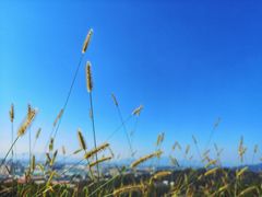 -云洞岩风景区