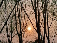 -东郊湿地公园