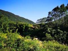 -四会奇石河风景区