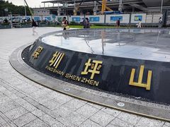 -深圳坪山站