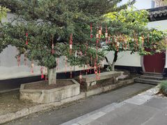 -东山雕花楼