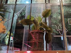 -老五烧烤(石牌岭店)