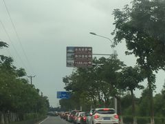 -大湾区中央湿地公园-十九涌