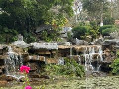 -东莞植物园