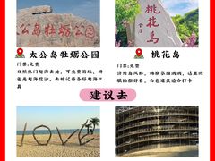 -日照灯塔风景区