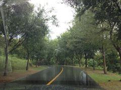 iphone_upload_pic-天目湖涵田度假村