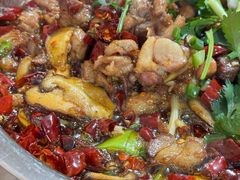 -食神又名厕所兔