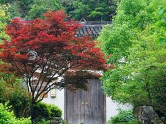 -温州永嘉书院