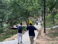 -沂蒙山旅游区云蒙景区(蒙山国家森林公园)